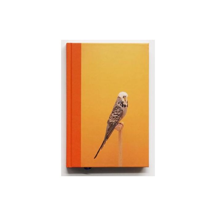 Incomplete Dictionary of Show Birds Vol. 2, An