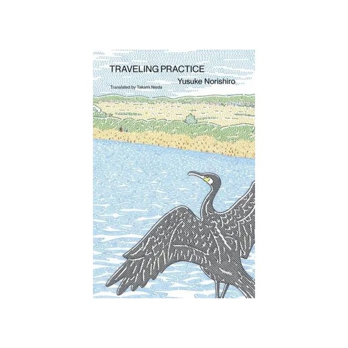 Travelling Practice