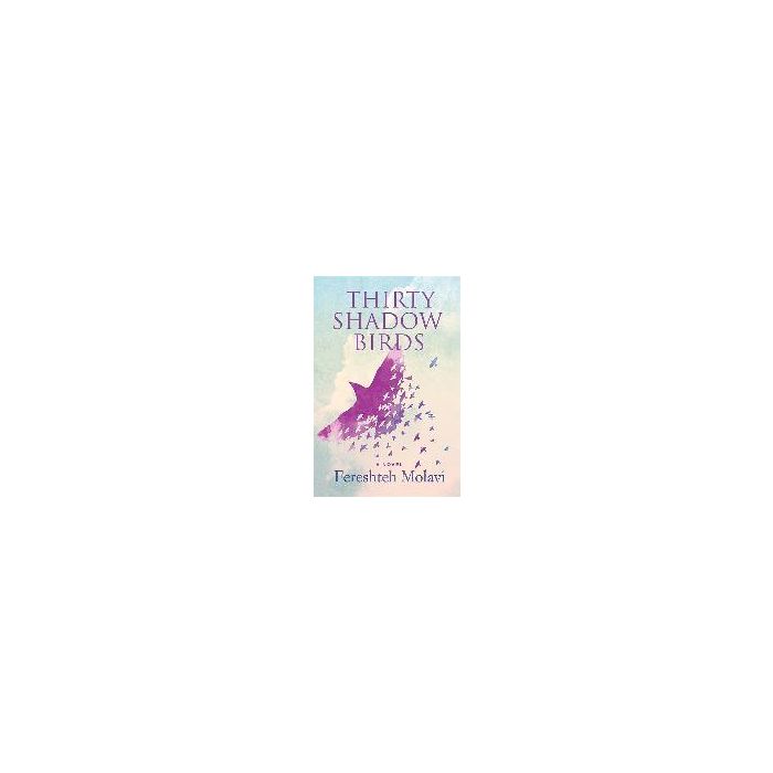 Thirty Shadow Birds