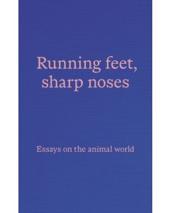 Running Feet, Sharp Noses