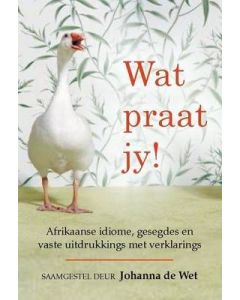 Wat praat jy!