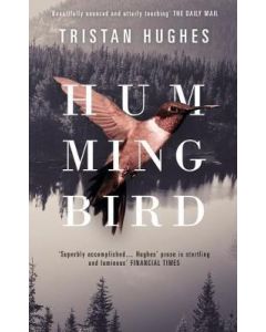 Hummingbird