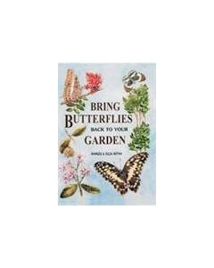 Bring Butterflies back to your Garden