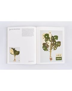 Ecology Works - John Newling
