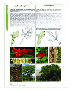 Trees and Shrubs of Mozambique
