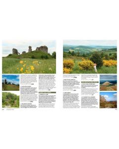 Wild Guide: Wales and the Marches