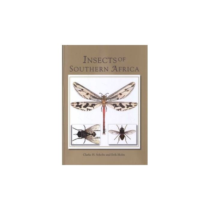 Insects of Southern Africa