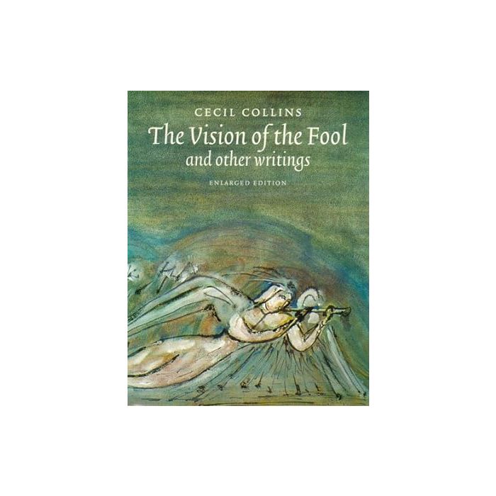 Vision Of The Fool: Enlarged 2002 Edition