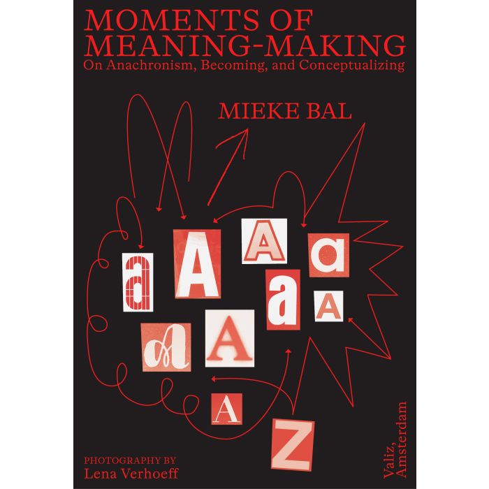 Moments of Meaning-Making