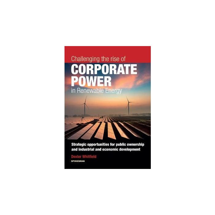 Challenging the Rise of Corporate Power in Renewable Energy