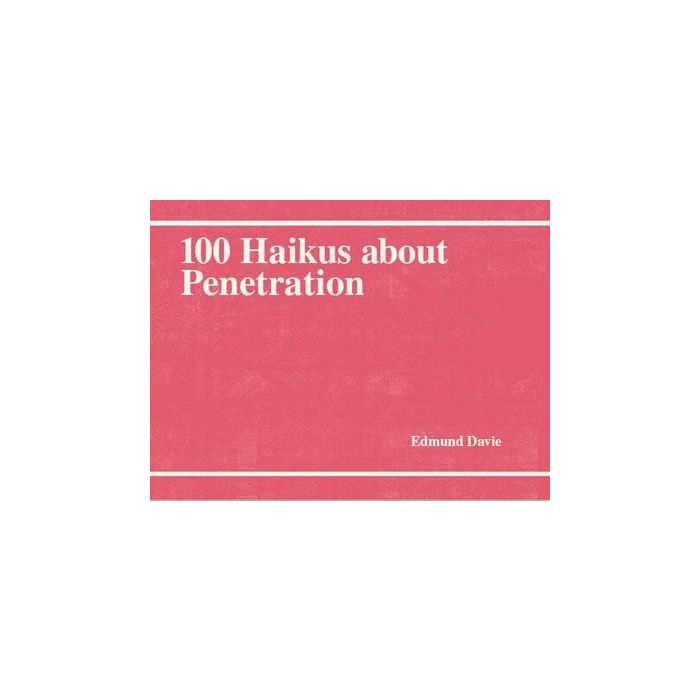 100 Haikus about Penetration