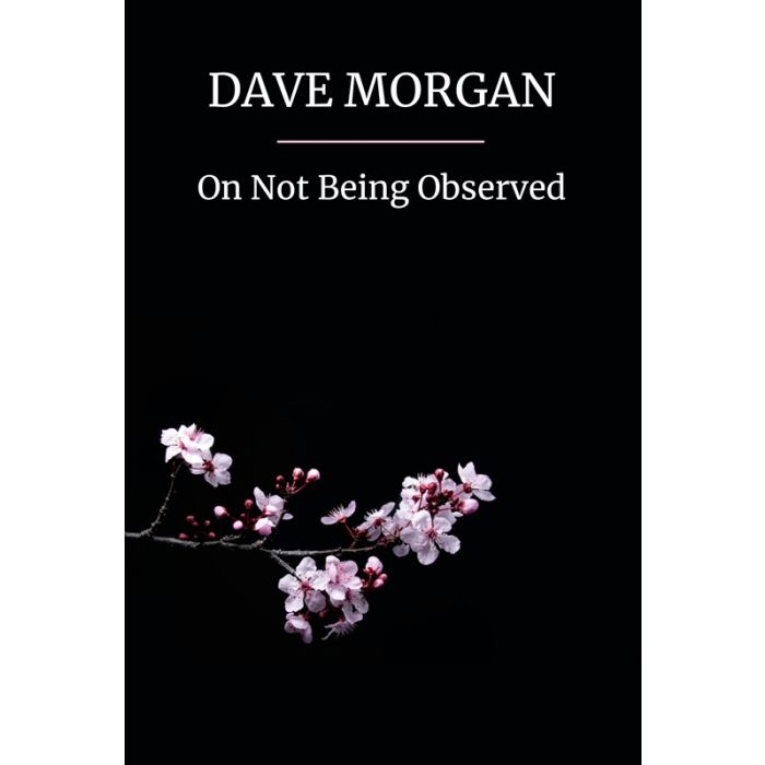 Dave Morgan - On Not Being Observed