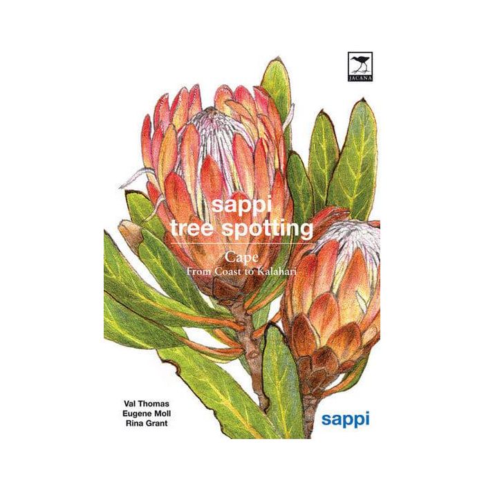 Sappi Tree Spotting: Cape