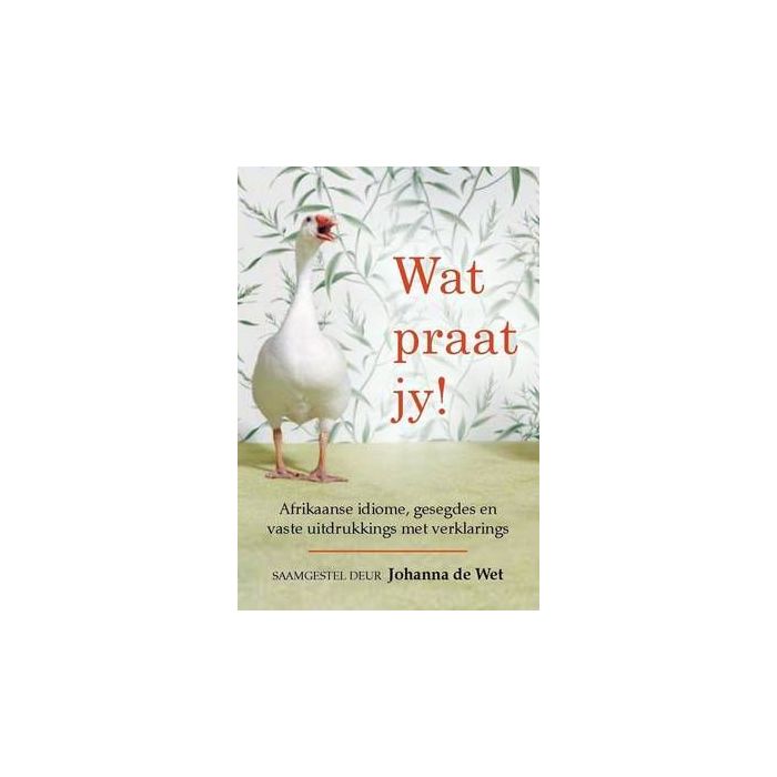 Wat praat jy!