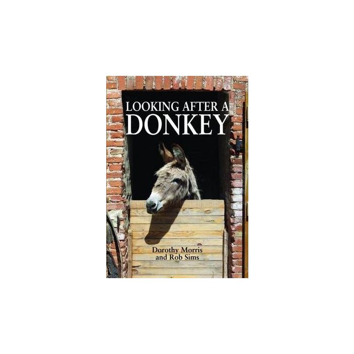 Looking After A Donkey