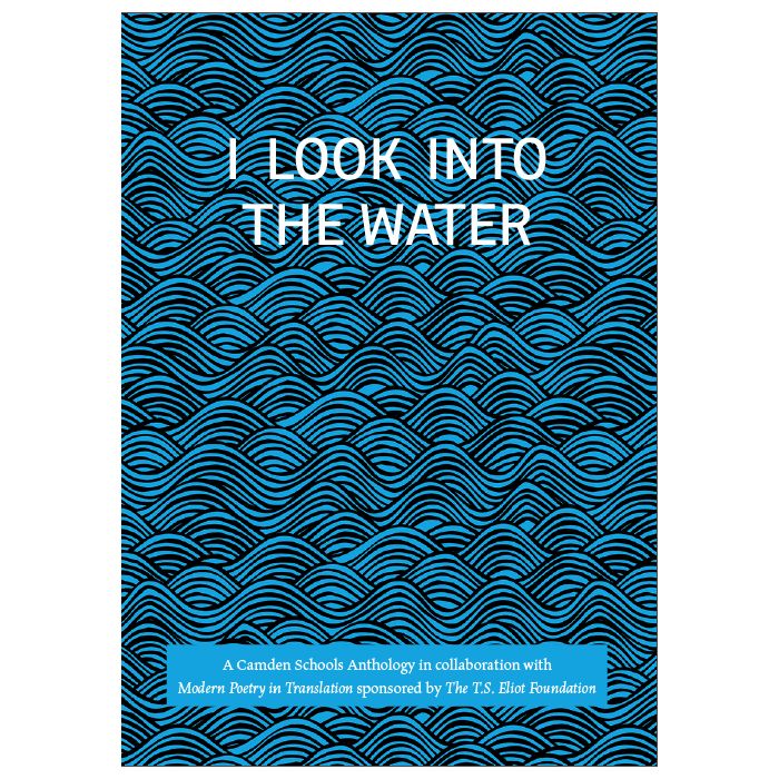 I Look Into The Water