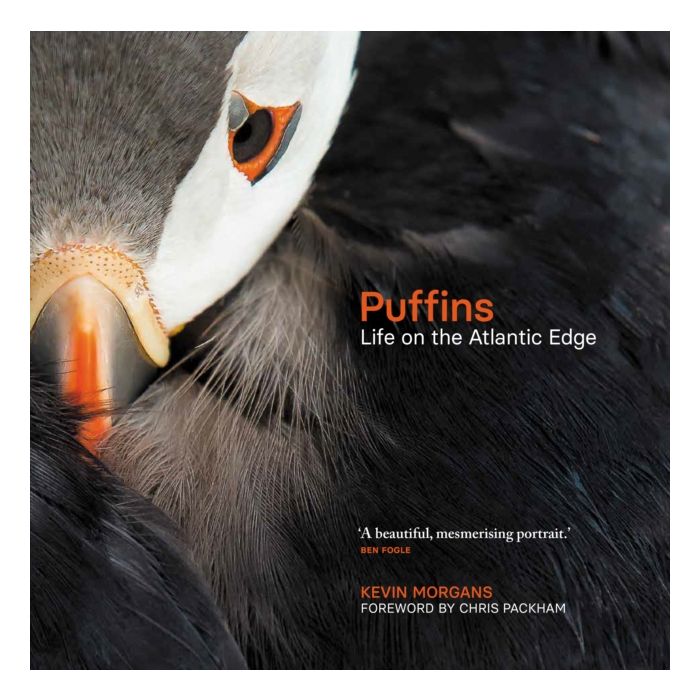 Puffins: Life on the Atlantic Edge