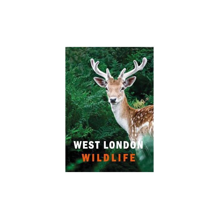 West London Wildlife