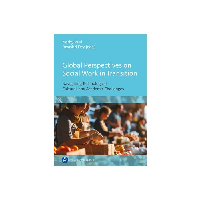 Global Perspectives on Social Work in Transition