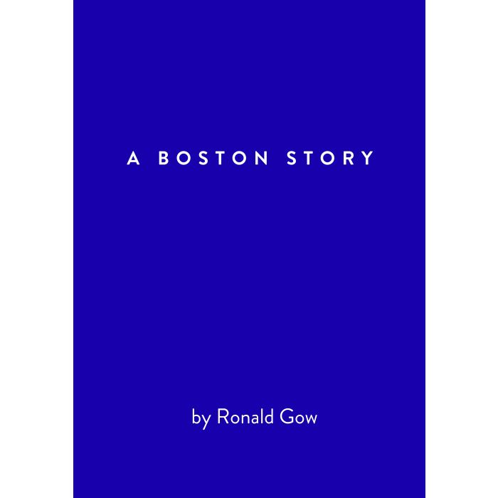 Boston Story