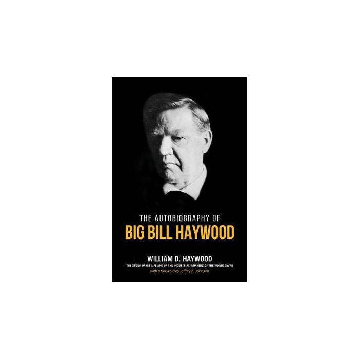 Big Bill Haywood's Book