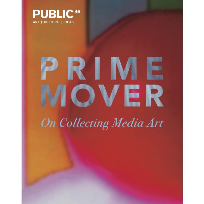 Public 46 Winter 2013