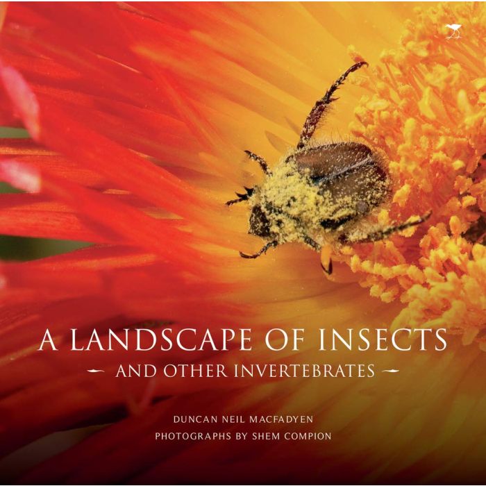 Landscape of Insects, A