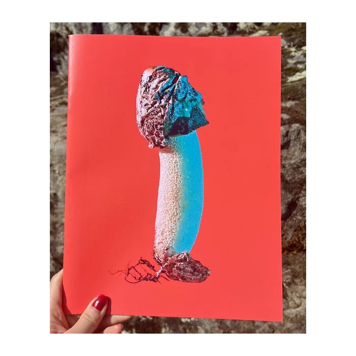 Mushrooms and Friends Zine 3