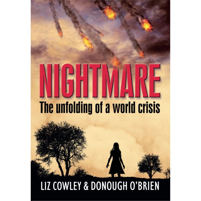 Nightmare: the unfolding of a world crisis