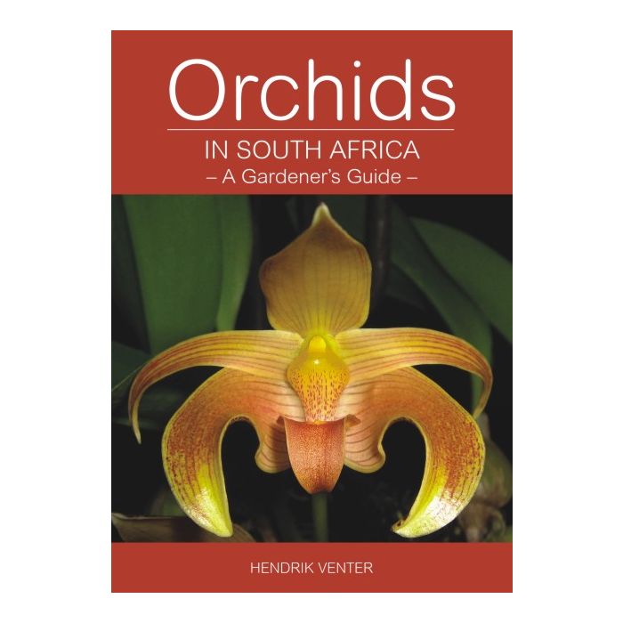 Orchids in South Africa