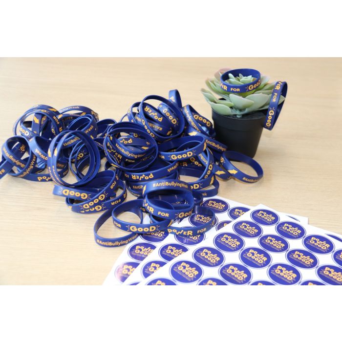 ABA 2025 Power for Good School Pack - Option 1