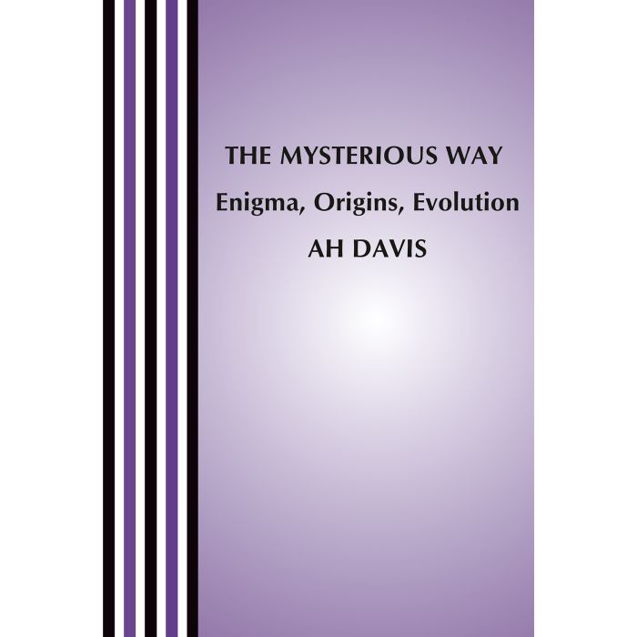 Mysterious Way, The