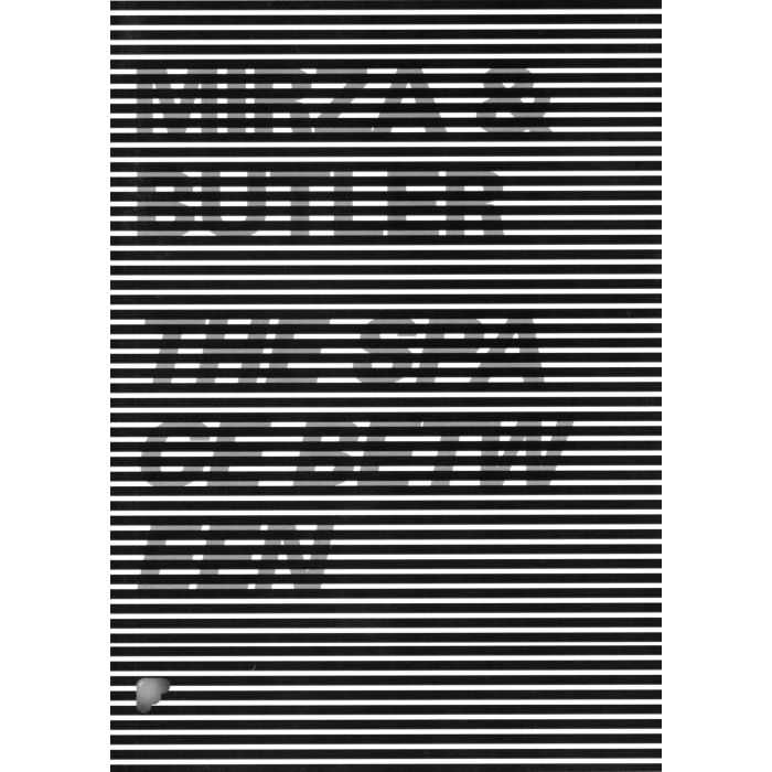 Space Between, The: Mirza & Butler