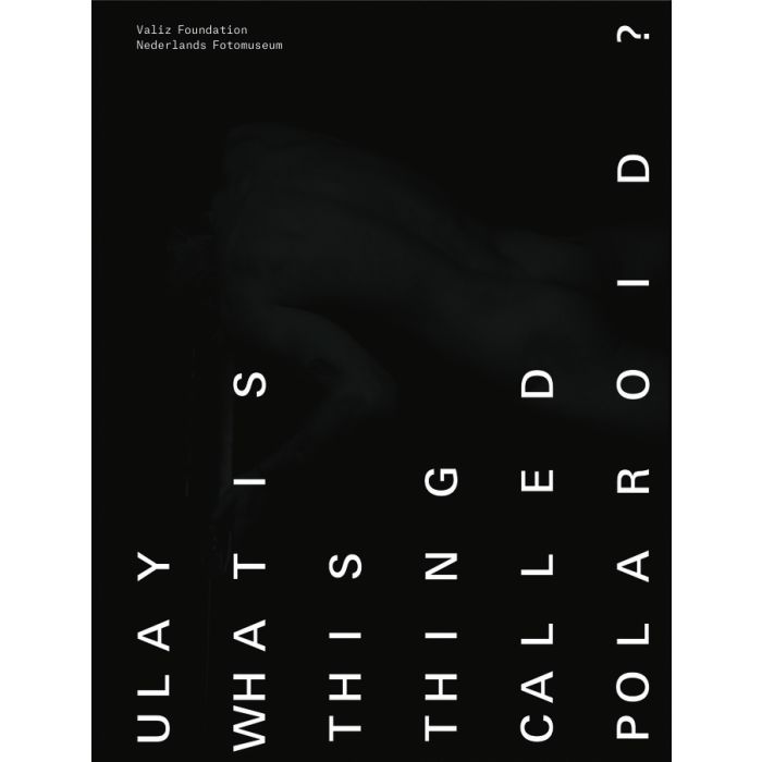 What is this Thing Called Polaroid?