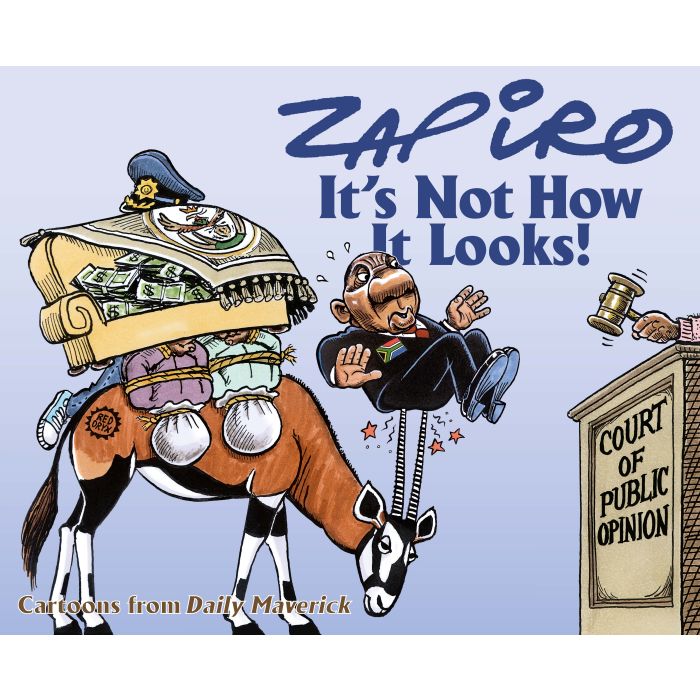 It's Not How It Looks! Zapiro Annual 2022