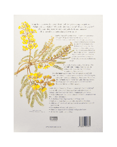 South African Flowering Trees