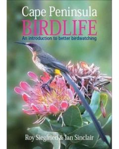 Cape Peninsula Birdlife