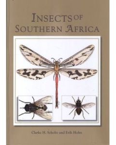 Insects of Southern Africa