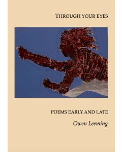 Through Your Eyes; Owen Leeming