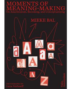 Moments of Meaning-Making