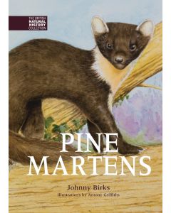 Pine Martens  2nd Edition