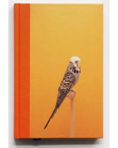 Incomplete Dictionary of Show Birds Vol. 2, An