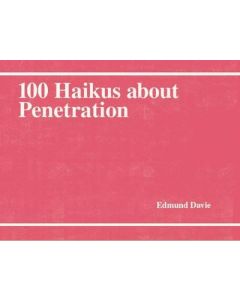 100 Haikus about Penetration
