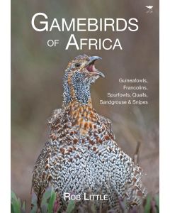 Gamebirds of Africa