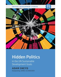 Hidden Politics in the UN Sustainable Development Goals