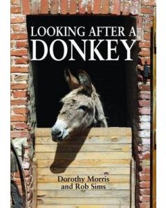 Looking After A Donkey