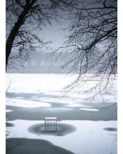 Alfredo Jaar: The Garden of Good and Evil