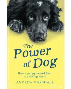 Power of Dog, The
