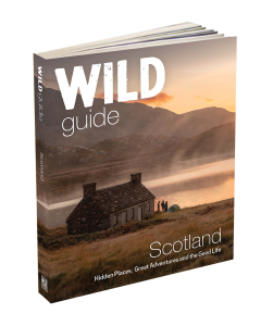 Wild Guide: Scotland