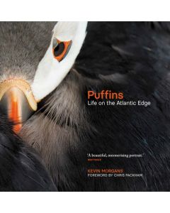 Puffins: Life on the Atlantic Edge